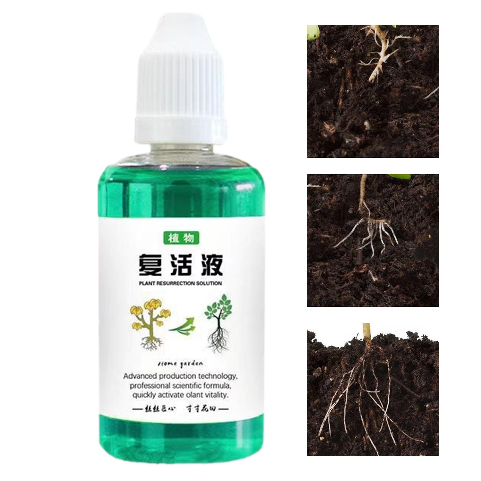 Root Stimulator Liquid - Estimulador de raízes para plantas, 50ml,