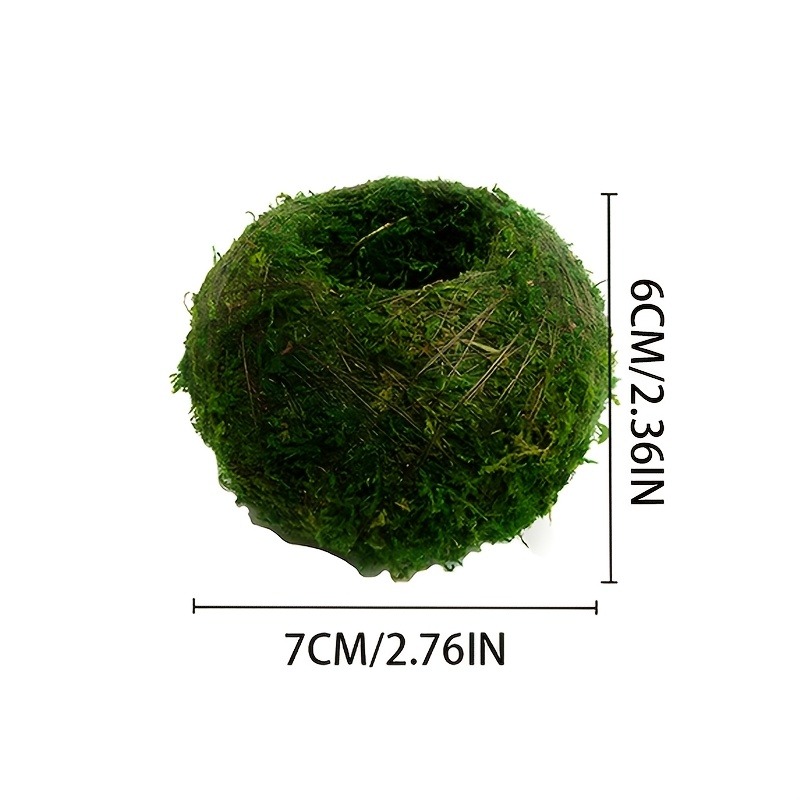 Vaso de Musgo Artificial, Reci - Sphagnum Moss Dry avaliação e preço