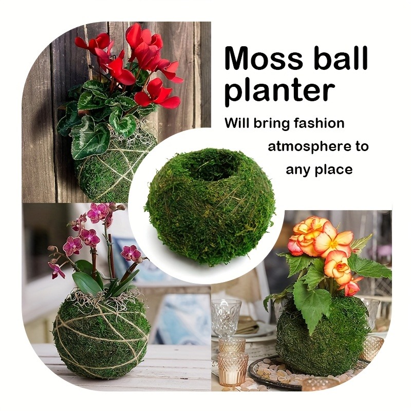 Vaso de Musgo Artificial, Reci - Sphagnum Moss Dry avaliação e preço