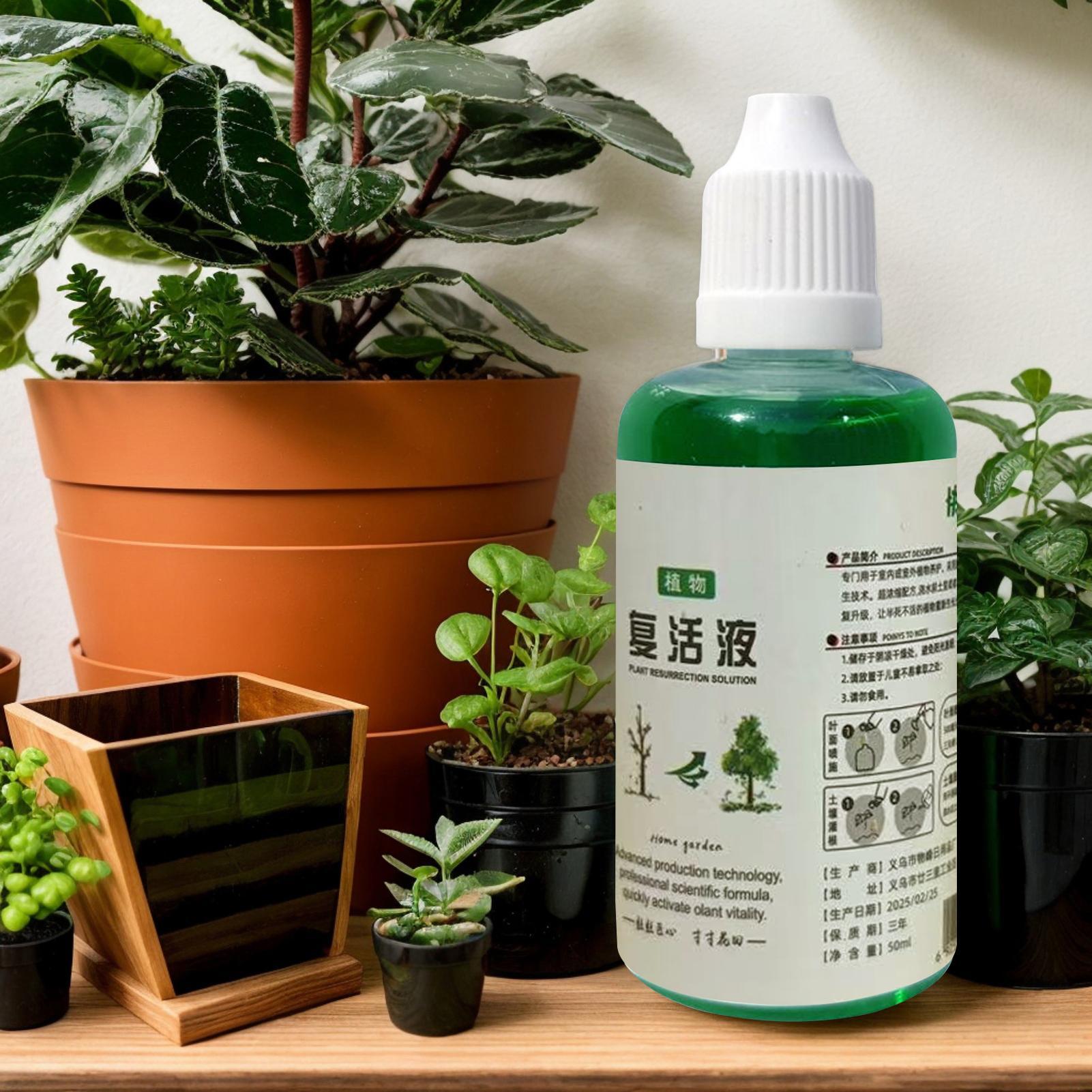 Estimulador de Raízes para Pla - Root Stimulator Liquid avaliação e preço
