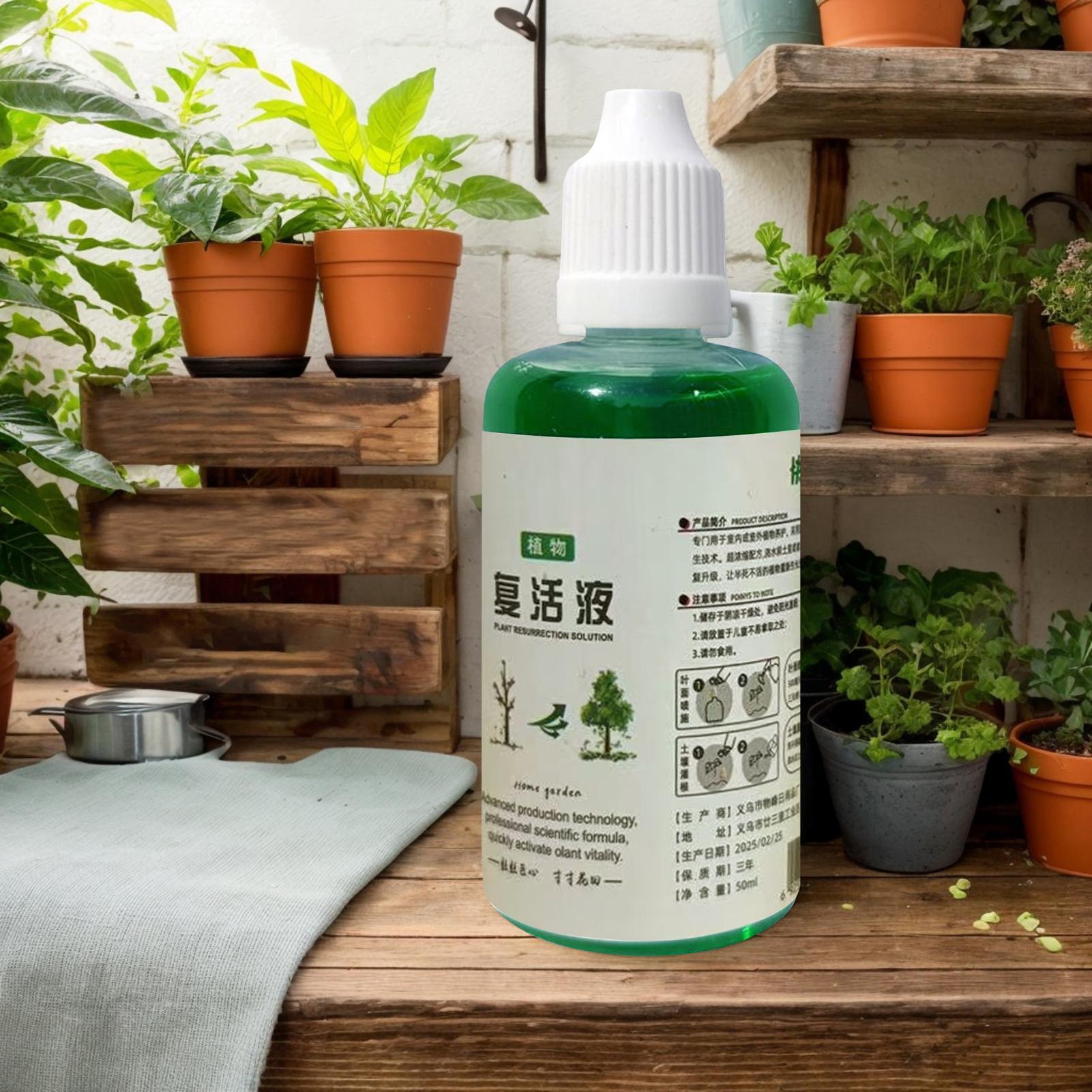 Estimulador de Raízes para Pla - Root Stimulator Liquid avaliação e preço