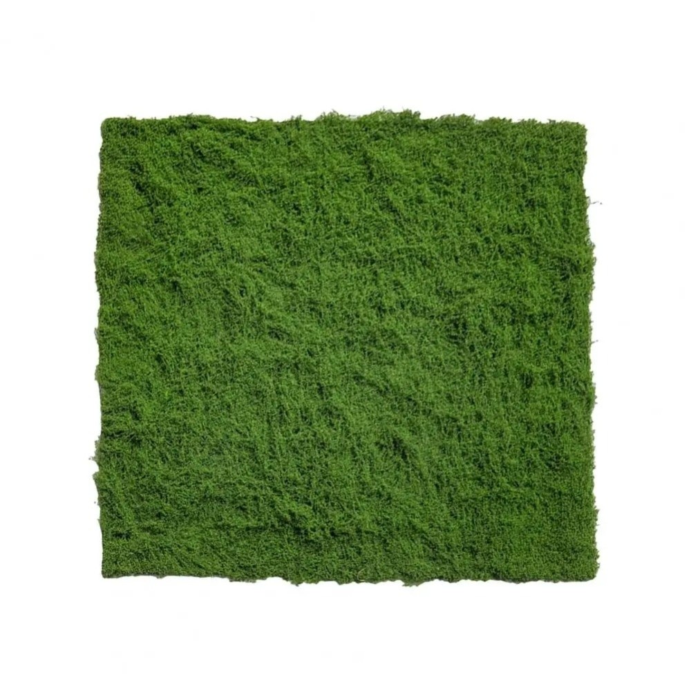 Tapete de Grama Artificial DIY - Sphagnum Moss Dry avaliação e preço