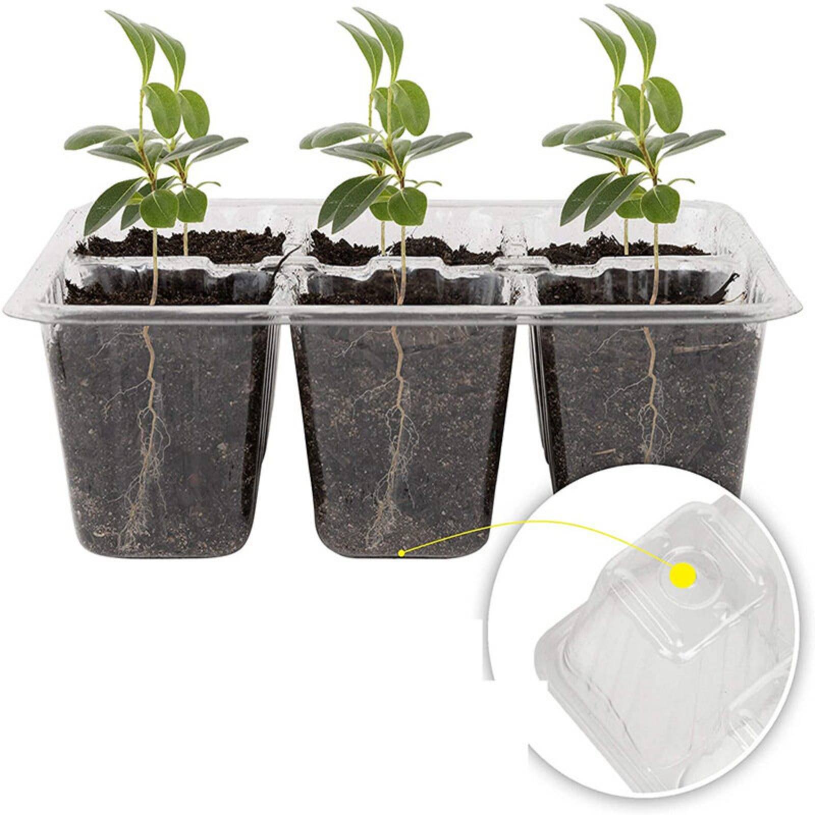Bandeja de Germinação com 12 C - Humidity Dome Kit avaliação e preço