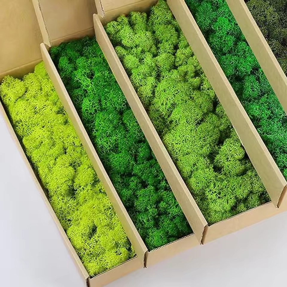 20-200g plantas verdes artific - Sphagnum Moss Dry avaliação e preço