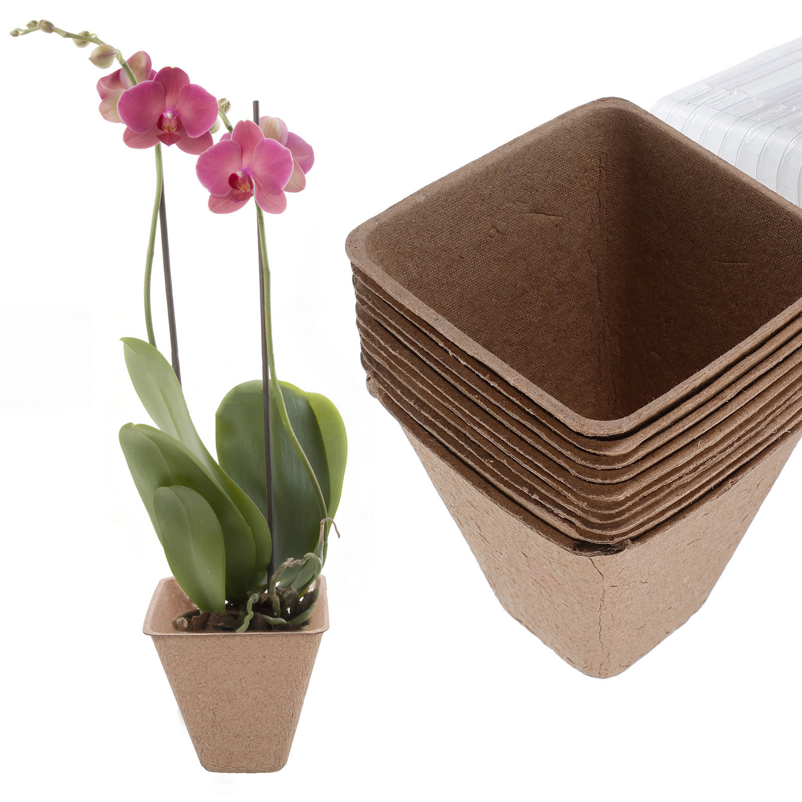 Kit de 10 Vasos Biodegradáveis - Humidity Dome Kit avaliação e preço