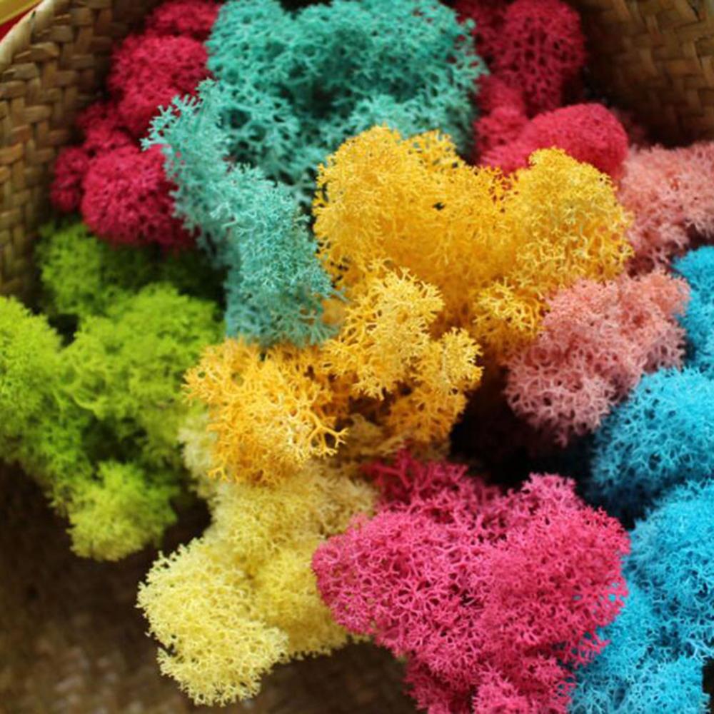 Planta artificial vida eterna  - Sphagnum Moss Dry avaliação e preço