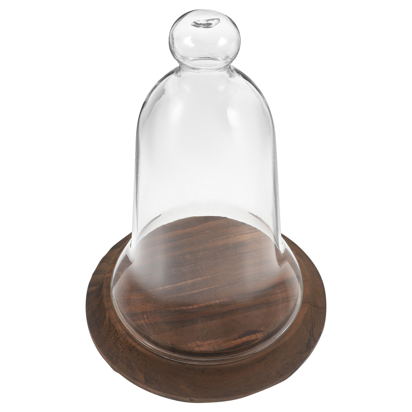 Cúpula de Vidro Transparente d - Plastic Dome Clear avaliação e preço