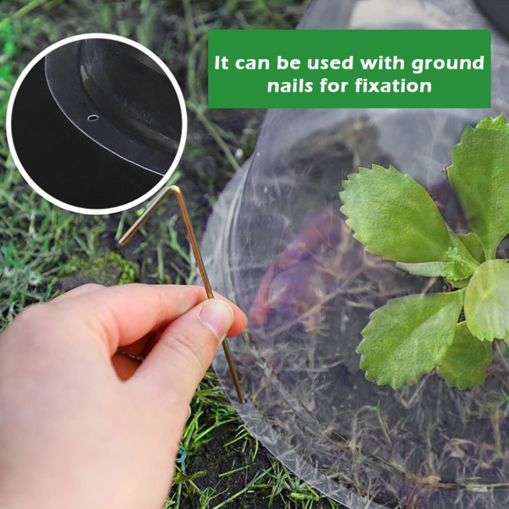 Cúpula de Proteção Reutilizáve - Plastic Dome Clear avaliação e preço