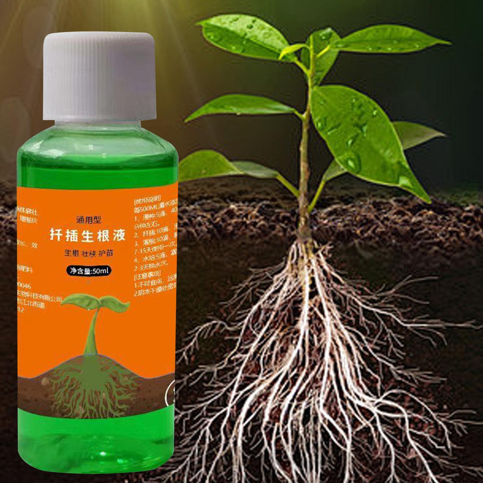 Estimulador de Raízes de Alta  - Root Stimulator Liquid avaliação e preço