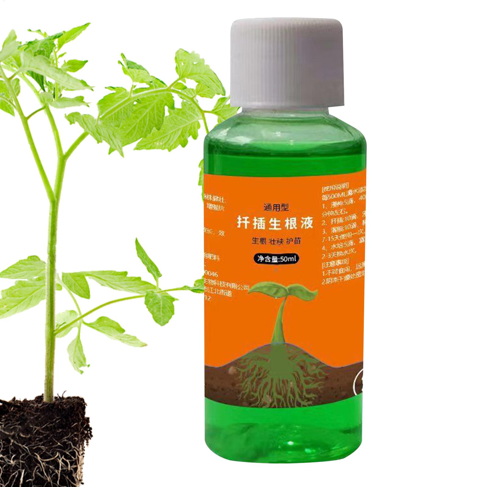 Solução nutritiva para transpl - Root Stimulator Liquid avaliação e preço
