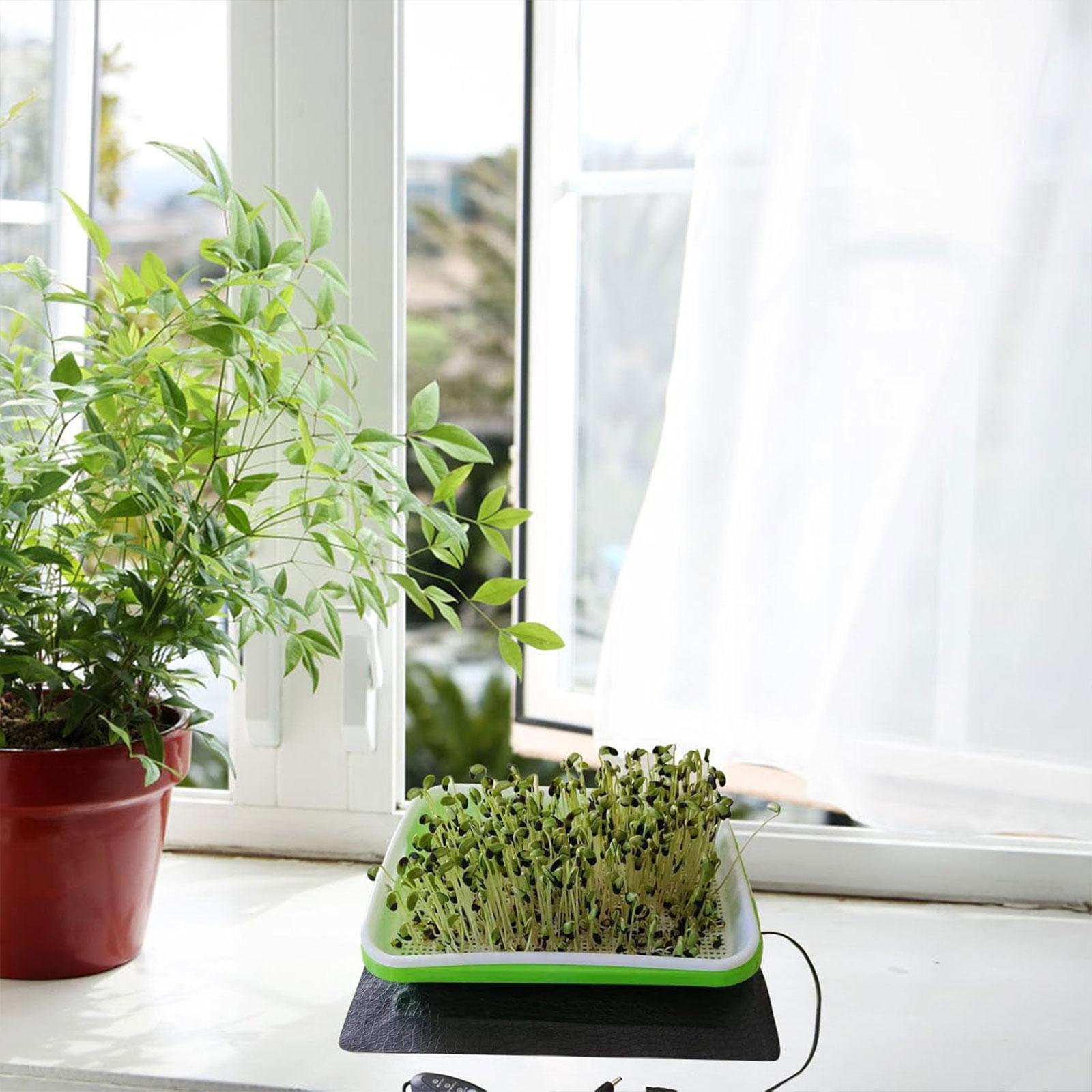 Tapete Térmico Hidropônico par - Heat Mat Seedling avaliação e preço
