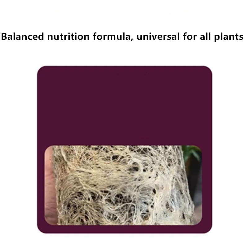 2 sacos de hormônio de enraiza - Rooting Hormone Powder avaliação e preço