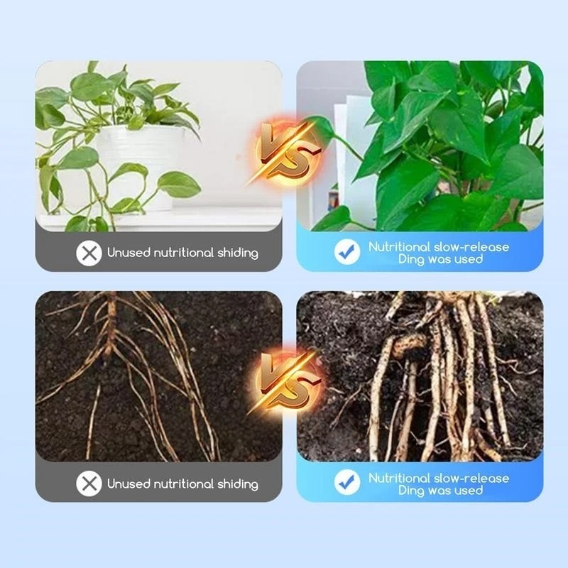 2 sacos de hormônio de enraiza - Rooting Hormone Powder avaliação e preço