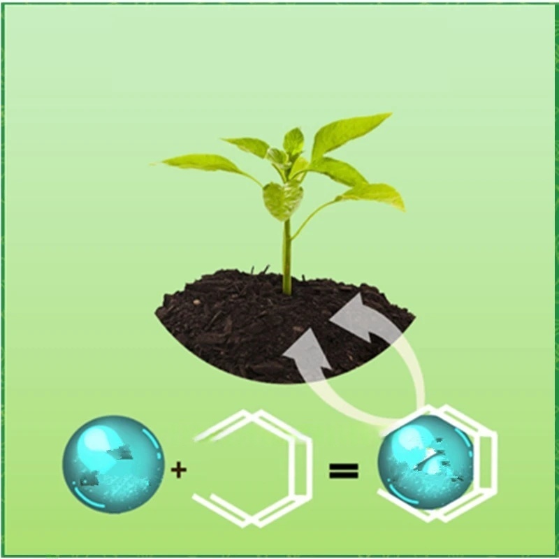 Pó de hormona de enraizamento  - Rooting Hormone Powder avaliação e preço